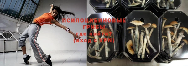 твердый Осинники