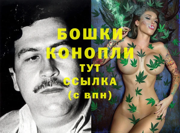 гидра Абаза