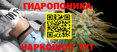 гидропоника Волжск