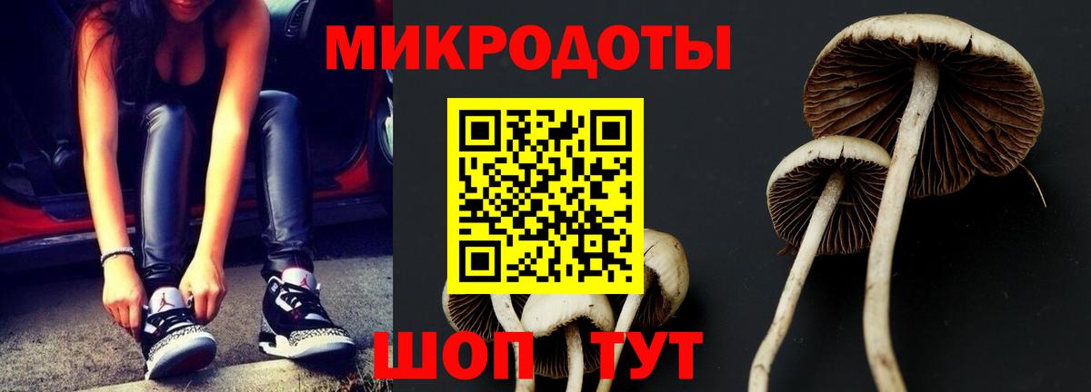 цена наркотик  Тавда  Галлюциногенные грибы Cubensis 