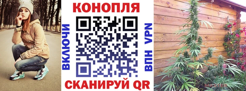 Канабис MAZAR  Тавда 